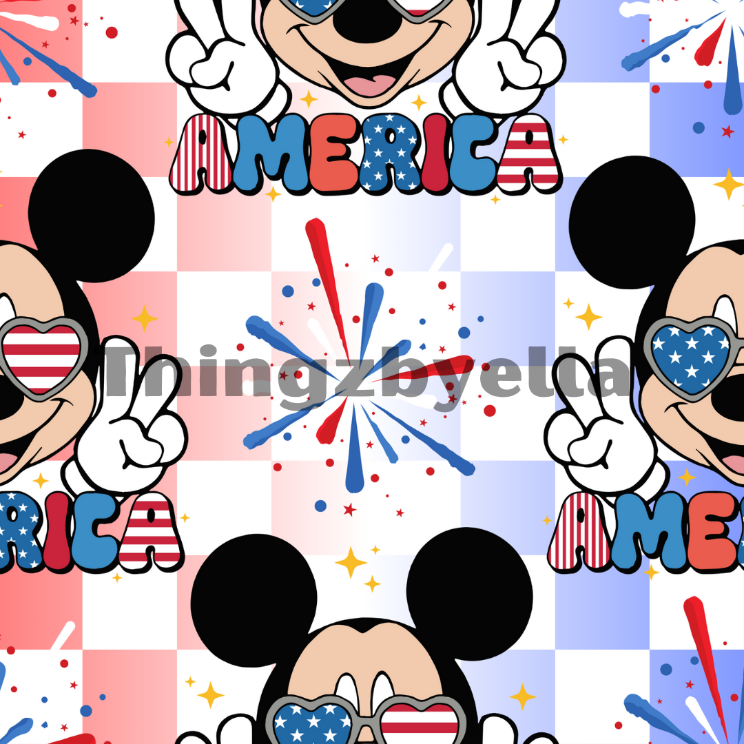 Fourth mouse America